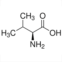 am-l-valine