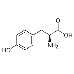 l-tyrosine